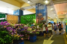 Au marché aux fleurs