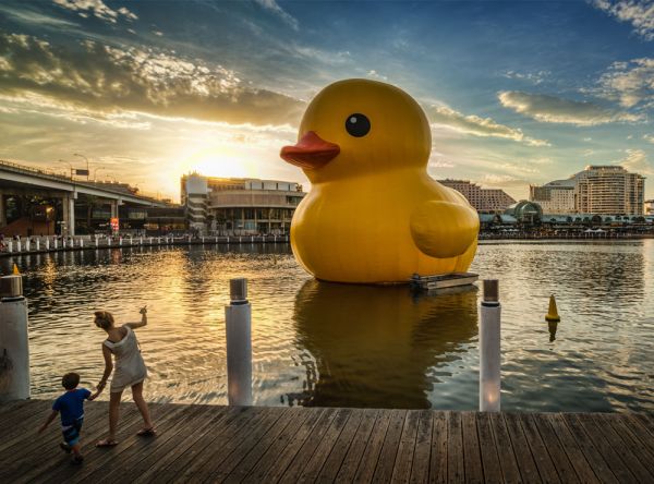 Le Rubber Duck de passage à Sydney/ Australie (Janvier 2013)
