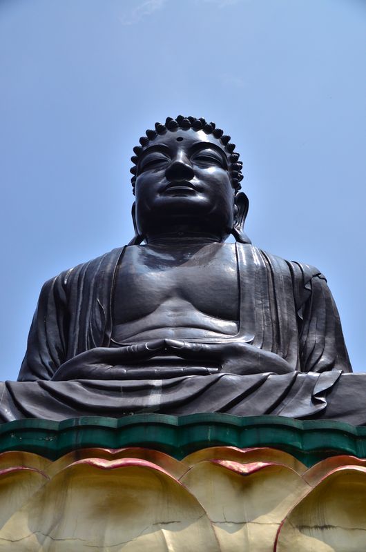 "La vie n'est pas un problème à résoudre, mais une vérité à expérimenter." - Siddharta Gautama