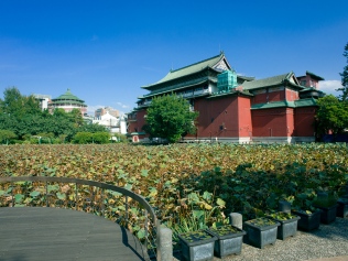 Vue du musée d'histoire depuis le jardin botanique